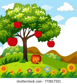 Red apple tree in the park illustration