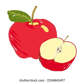 Red apple with twig and green leaf. Nearby is half an apple. Apple cut in half with a yellow core. Composition of two apples. Vector illustration, cartoon style, painted with large strokes. Vector