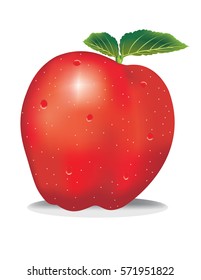 red apple vector