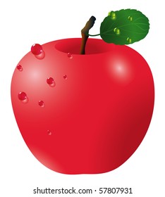 Red apple. Vector.