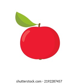 Red apple. Vector cartoon fruit.