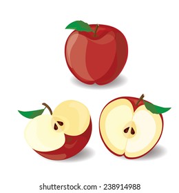 Red Apple vector illustration 3