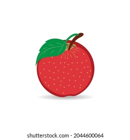 Red apple vector illustration icon