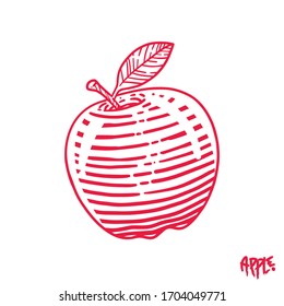 Red apple vector illustration line art