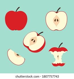 Red apple vector illustration. Set of sliced apples.