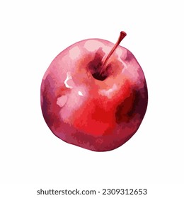 Red apple vector ilustration in watercolor style. Garden fruit red apple design.