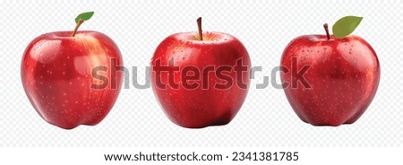 Red apple vector set isolated on white