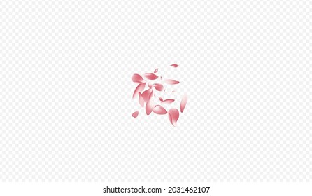 Red Apple Vector Transparent Background. Rosa Marriage Banner. Cherry Wallpaper Cover. Rose Sky Card. White Floral Graphic Illustration.