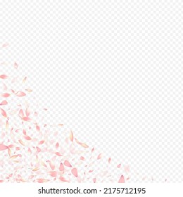 Red Apple Vector Transparent Background. Rosa Garden Banner. Cherry Blur Backdrop. Bloom Fly Cover. Color Heart Beauty Illustration.