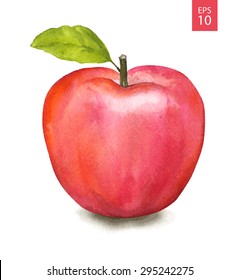 Red Apple. Watercolor Drawing. Vector Illustration