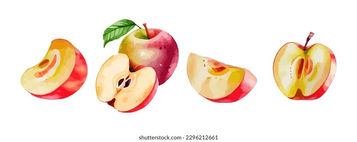 Red apple watercolor isolated on white background. Fresh summer fruit sweet set. Realistic apple vector illustration