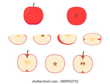 Red apple whole, cut half, piece, part and slice chopped of fruit. Harvest ripe fruit icon. Popular healthy garden food apple. Vector flat illustration