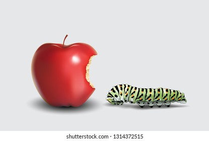 Red apple and worm on the white background