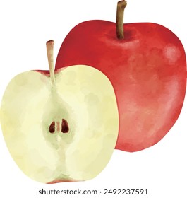 Red apples and cut apples in watercolor style