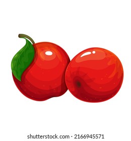 Red apples fruit with leaf in cartoon style.