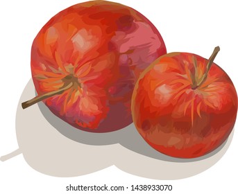 Red apples fruit vector illustration isolated on white background