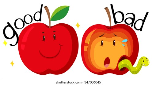 Red apples in good and bad condition illustration