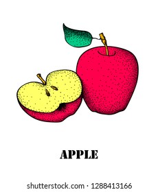 Red Apples with Green Leaves and Apple Slice - Vector Illustration.