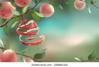Red apples hang on the branches. The concept of harvesting and a healthy lifestyle. Cut the peel from the Apple.