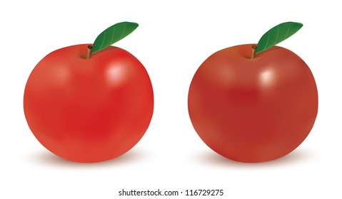 Red apples isolated on white background. Vector