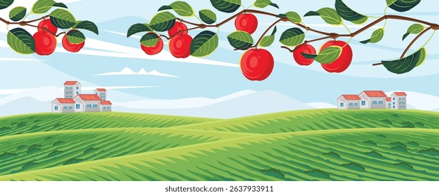 Red apples on branches over a green, rolling agricultural landscape with buildings.