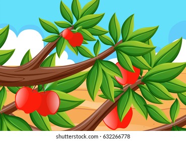 Red apples on the tree illustration