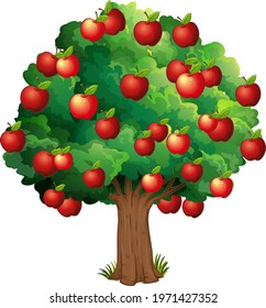 Manzanas rojas en un árbol aisladas en una ilustración de fondo blanco