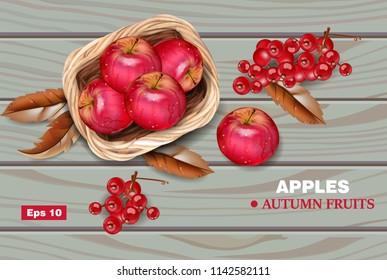 Red Apples on wooden background Vector realistic. Autumn harvest. top view illustration