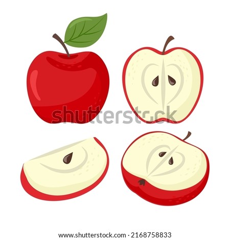 Red apples set. Sliced apples collection. Slices, whole and half fruits. Vector illustration in cartoon flat style.