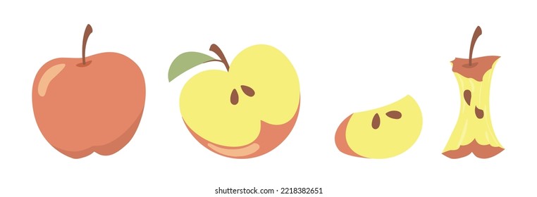 Red apples set. Vector illustrations of healthy sweet fruit for eating. Cartoon whole organic apple, cut in half and slice, bitten and eaten to core isolated on white. Vitamin, food snack concept