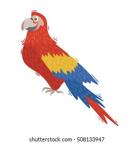 Red Ara parrot, vector