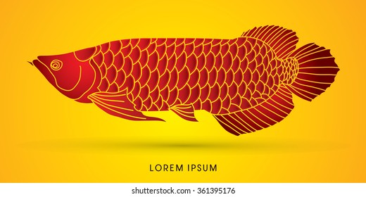 Red Arowana Fish, graphic vector.