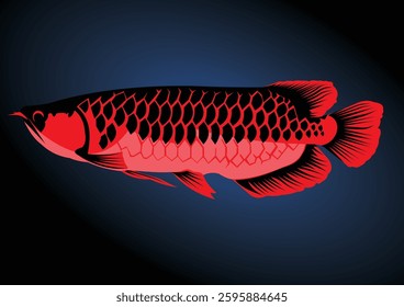 red arowana fish.
vector of super red arowana fish that usually lives in Asia.
This illustration is very suitable for use as wallpaper, icons, screen printing logos, and others