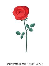 red artistic rose collection vector