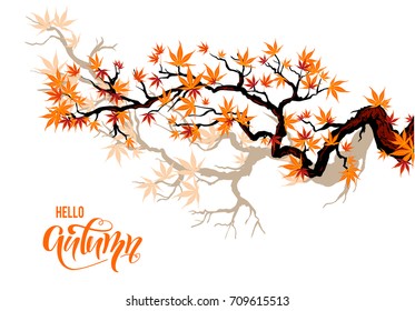 Red asian autumn maple branch for design banner, ticket, leaflet, card, poster and so on.