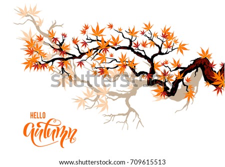 Red asian autumn maple branch for design banner, ticket, leaflet, card, poster and so on.