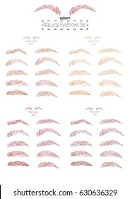 Red auburn warm chestnut brown color brows. Natural Perfect Eyebrows freehand drawing art Set. Types and shapes of brows. Realistic style. Vector illustration. 
