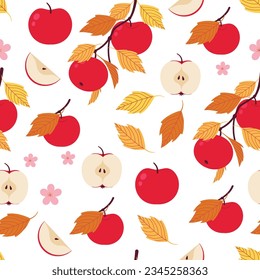 El fondo de las manzanas rojas otoñales es transparente. Cortes de manzana y ramas de manzana sin costura. 