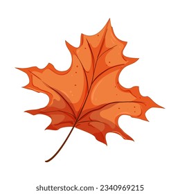 red autumn leaf cartoon. maple orange, season color, leaves tree red autumn leaf sign. isolated symbol vector illustration