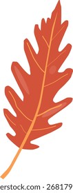 Hoja roja de otoño de cerca. Vector