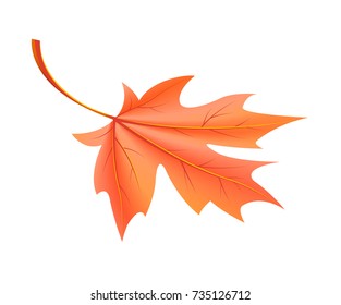 Red autumn leaf fallen from maple tree vector illustration in realistic design isolated on white background. Beautiful editable fall object in flat style