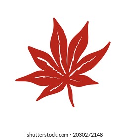 Red autumn leaf isolated vector illustration