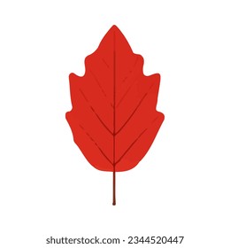 Red autumn leaf.Colorful leaf icon . Watercolor autumn leaf.