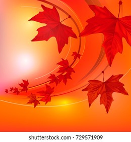 Red autumn leaves colorful background