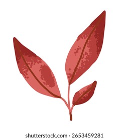 Red autumn leaves on branch drawn in simple flat style. Fall illustration