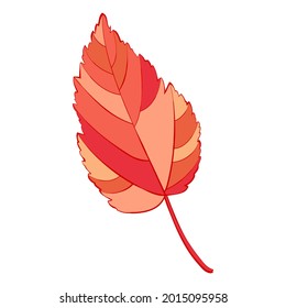 Red autumn maple leaf isolated on white background. Simple cartoon flat style vector illustration.