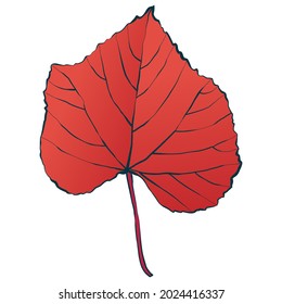Red Autumn maple leaf isolated on white background. Сartoon flat style vector illustration.