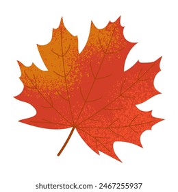 Red autumn maple leaf isolated on white. Vector illustration with grain texture