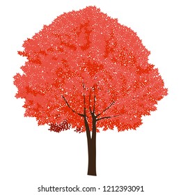 Red autumn tree