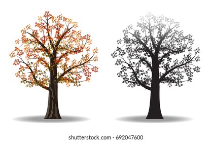 red autumn tree and silhouettes tree isolated on white background, vector illustration